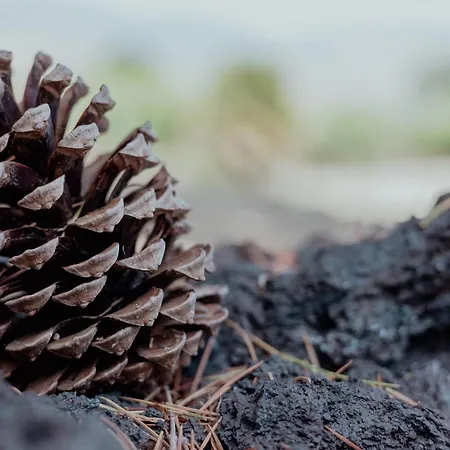 Tenunte Sciara * Randazzo