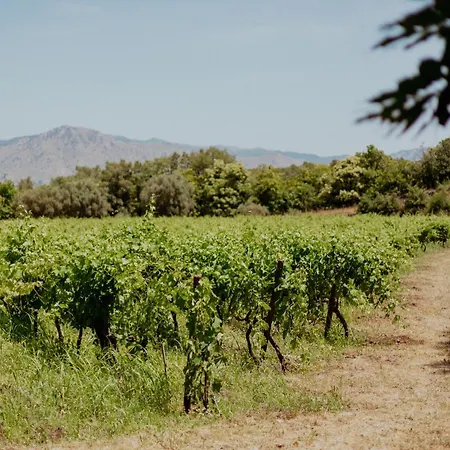לינה וארוחת בוקר Tenunte Sciara *