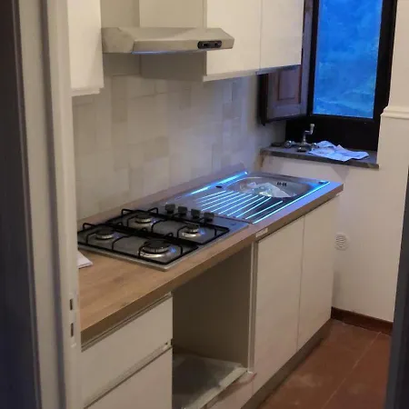 Tenunte Sciara * רנדצו