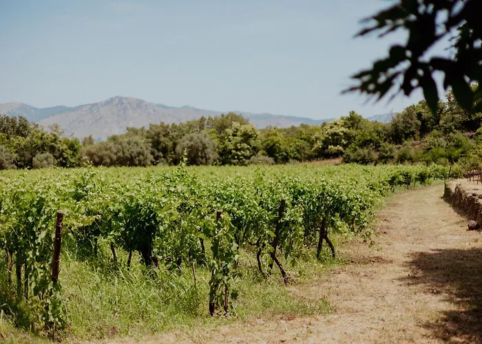 Panzió Tenunte Sciara *
