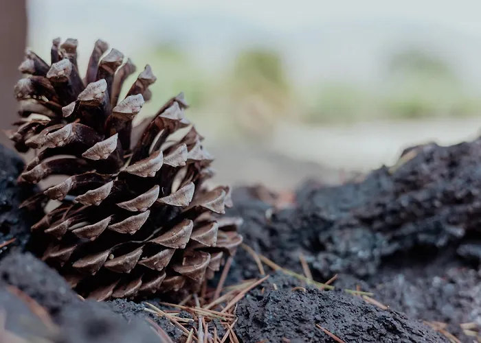 Tenunte Sciara * Randazzo